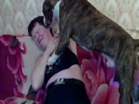 Dog force beastiality sex with sexy MILF